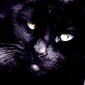 Bundle 3 items take 50% off your Entire Order!